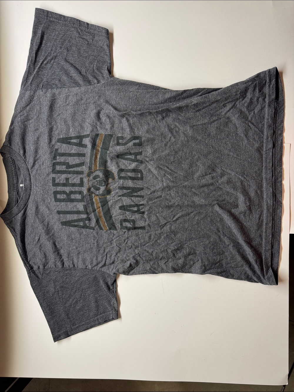 Women’s University of Alberta Elevate Heather Gray Graphic T-Shirt Size Medium